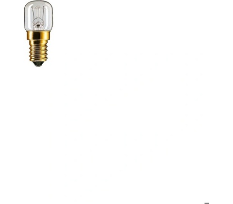 Philips Massive Practitone T22 E14 15W