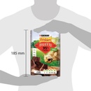 Friskies Filetti s hovädzím 70 g