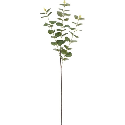 KS EUCALYPTUS CINEREA ZELENÝ 83CM