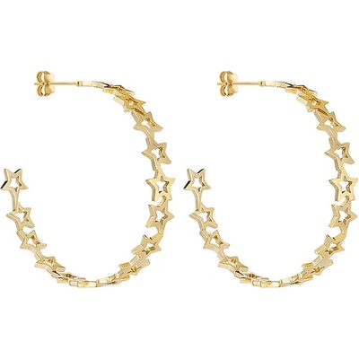 Daniel Klein Дамски обеци Daniel Klein DKJ. 3.5017-2 (DKJ.3.5017-2)