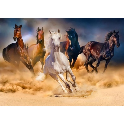 Enjoy - Puzzle Horses Running in the Desert - 1 000 piese
