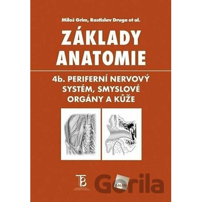Základy anatomie 4b - Periferní nervový systém, smyslové orgány a kůže - Miloš Grim, Rastislav Druga