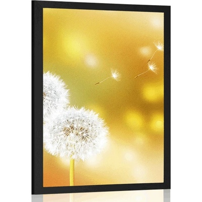 Plakát pampeliška - 20x30 black