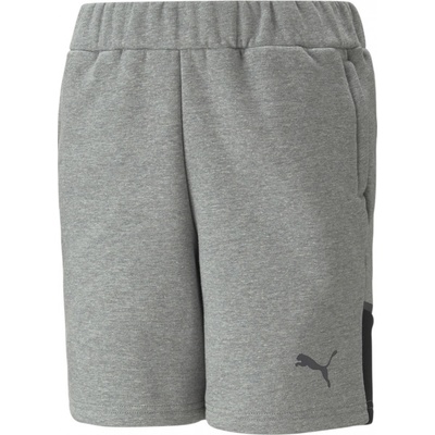 Puma teamCUP Casuals Shorts junior 658428-13
