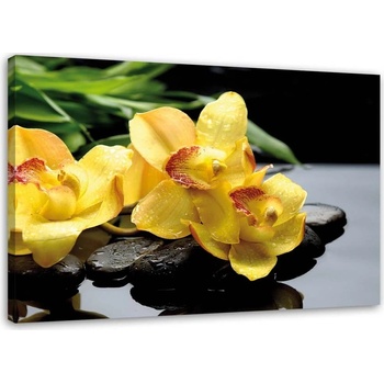 Gario Obraz na plátně Narcisy a zenové kameny Rozměry: 60 x 40 cm