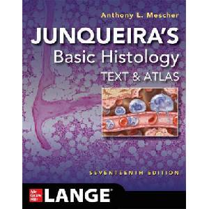 Junqueira's Basic Histology: Text and Atlas, Seventeenth Edition (ISBN: 9781264930395)