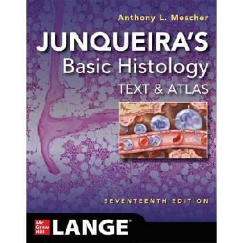 Image 1 of Junqueira's Basic Histology: Text and Atlas, Seventeenth Edition | Mescher, Anthony L
