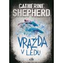 Vražda v ledu