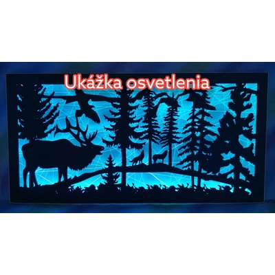Osvetlený LED obraz na mieru