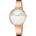 Calvin Klein K7A23646