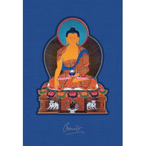The Celestial Galleries | Romio Shrestha (ISBN: 9798887621395)