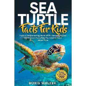 Sea Turtle Facts for Kids (2025)