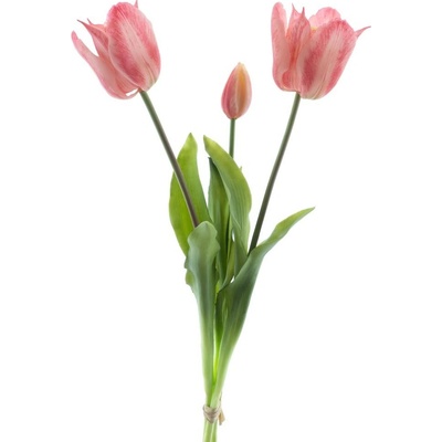Tulipán 'Sally' svazek x3 růžová V43 cm