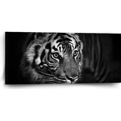 Sablio Obraz Čierno-biely tiger - 110x50 cm