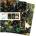 Flame Tree Publishing Ashmolean Museum Set of 3 Mini Notebooks | Flame Tree Publishing