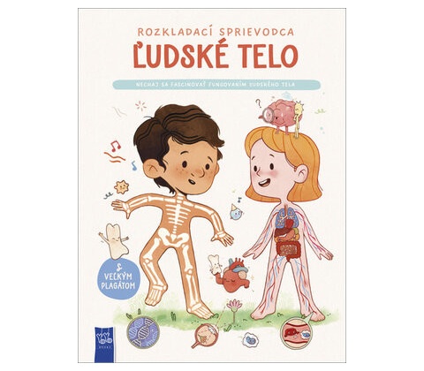 Ľudské telo