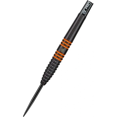 Target - darts Steel Raymond van Barneveld - 80% Black - 26g