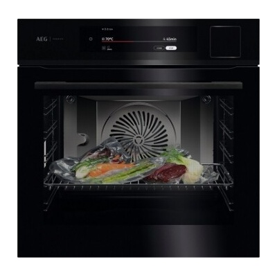 AEG BS9900B