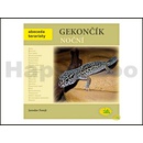 Gekončík noční - Abeceda teraristy - Forejt Jaroslav