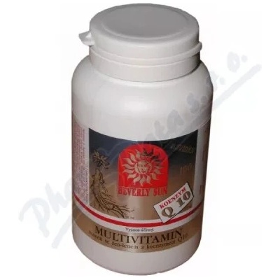 High Standard Product Multivitamin mineral + echinacea + Q10 100 tabliet