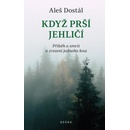 Když prší jehličí - Dostál Aleš