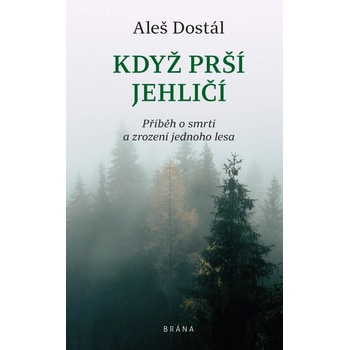 Když prší jehličí - Dostál Aleš