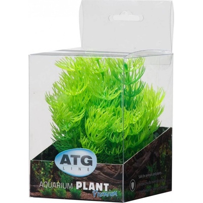 ATG Premium rostlina mini 8 až 14 cm 203