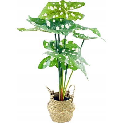 Umělý květ květina v květináči ALOKÁZIE zelená 51 cm