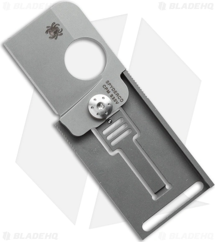Spyderco Squarehead Folder C193TIP