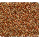 Avicentra Classic Menu Drobný Exot 4 kg