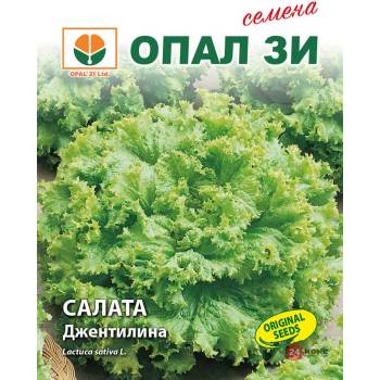 Image 1 of Opal Zi Салата Джентелина