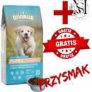 Divinus Puppy 20 kg