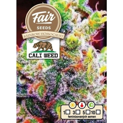 Fair Seeds Rainbow Homocaust semena neobsahují THC 10 ks