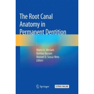 The Root Canal Anatomy in Permanent Dentition | Marco A. Versiani, Bettina Basrani, Manoel D. Sousa-Neto (ISBN: 9783030087906)