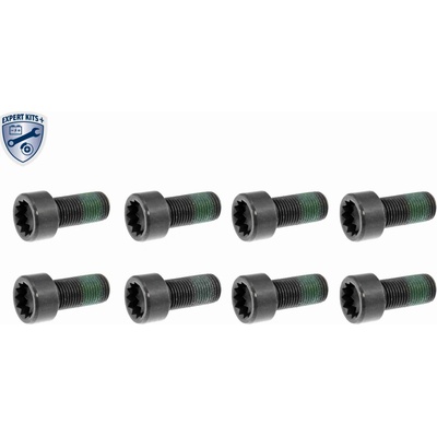 Skrutka VAICO V10-2544