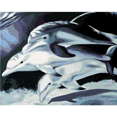 zuty Malování podle čísel Tři delfíni 80 x 100 cm vypnuté plátno na rám