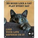 EBI D&D kovová tabuľa: ,,Be more like a cat play every day\" 20 x 25 cm