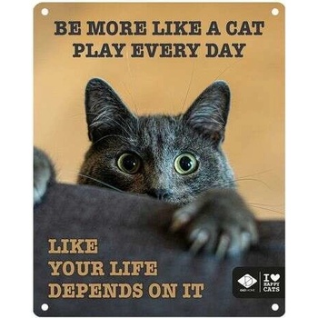 EBI D&D kovová tabuľa: ,,Be more like a cat play every day\" 20 x 25 cm