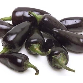 Jalapeno Purple (semená)