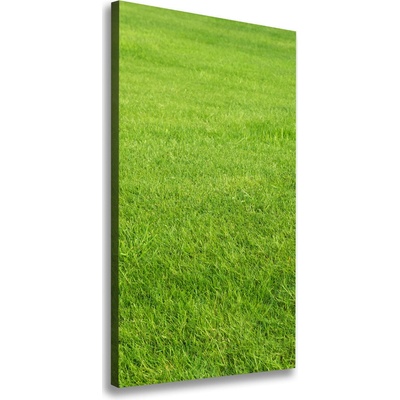 Vertikálny foto obraz na plátne Zelená tráva 50x100 cm