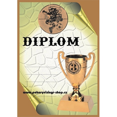 VIZINGR Fotbal děti diplom A4 č.55