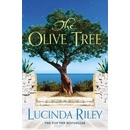 Olive Tree