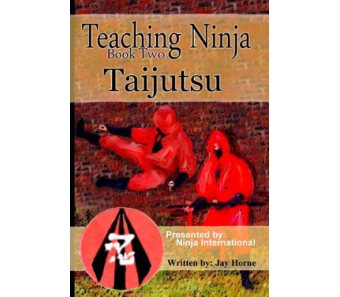 Teaching Ninja: Taijutsu