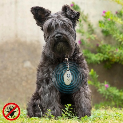 Ultrazvukový dobíjací antiparazitný prístroj pre domáce zvieratá PetRep InnovaGoods