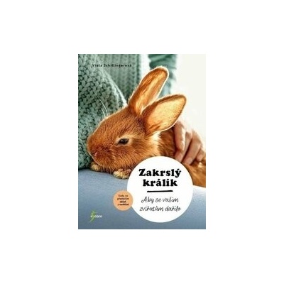 Zakrslý králík - Viola Schillinger