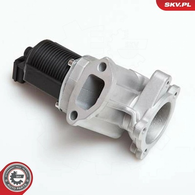 AGR - Ventil ESEN SKV 14SKV031