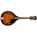 Fender PM-180E
