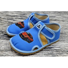Antal Rascal Cars
