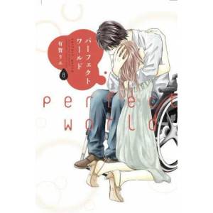 Perfect World 8 | Rie Aruga (ISBN: 9781646511082)