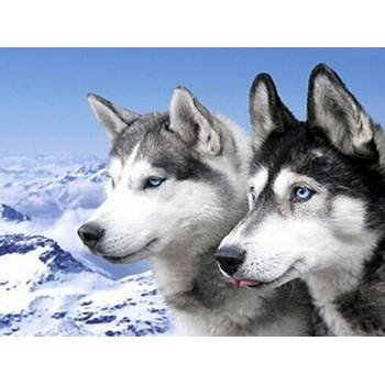 Image 1 of Хъски 40/40 см